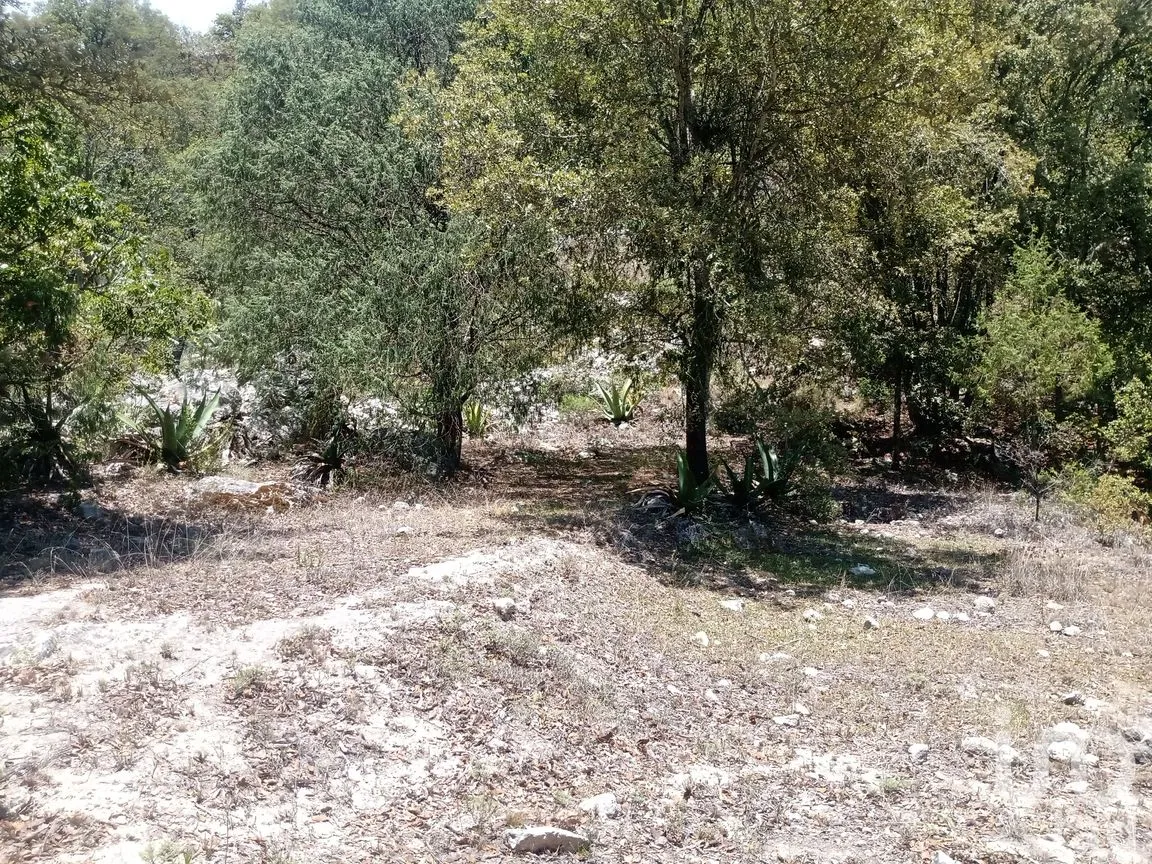 Terreno en Venta en Zoquizoquipan, Metztitlán, Hidalgo | NEX-176055 | iad México | Foto 6 de 22