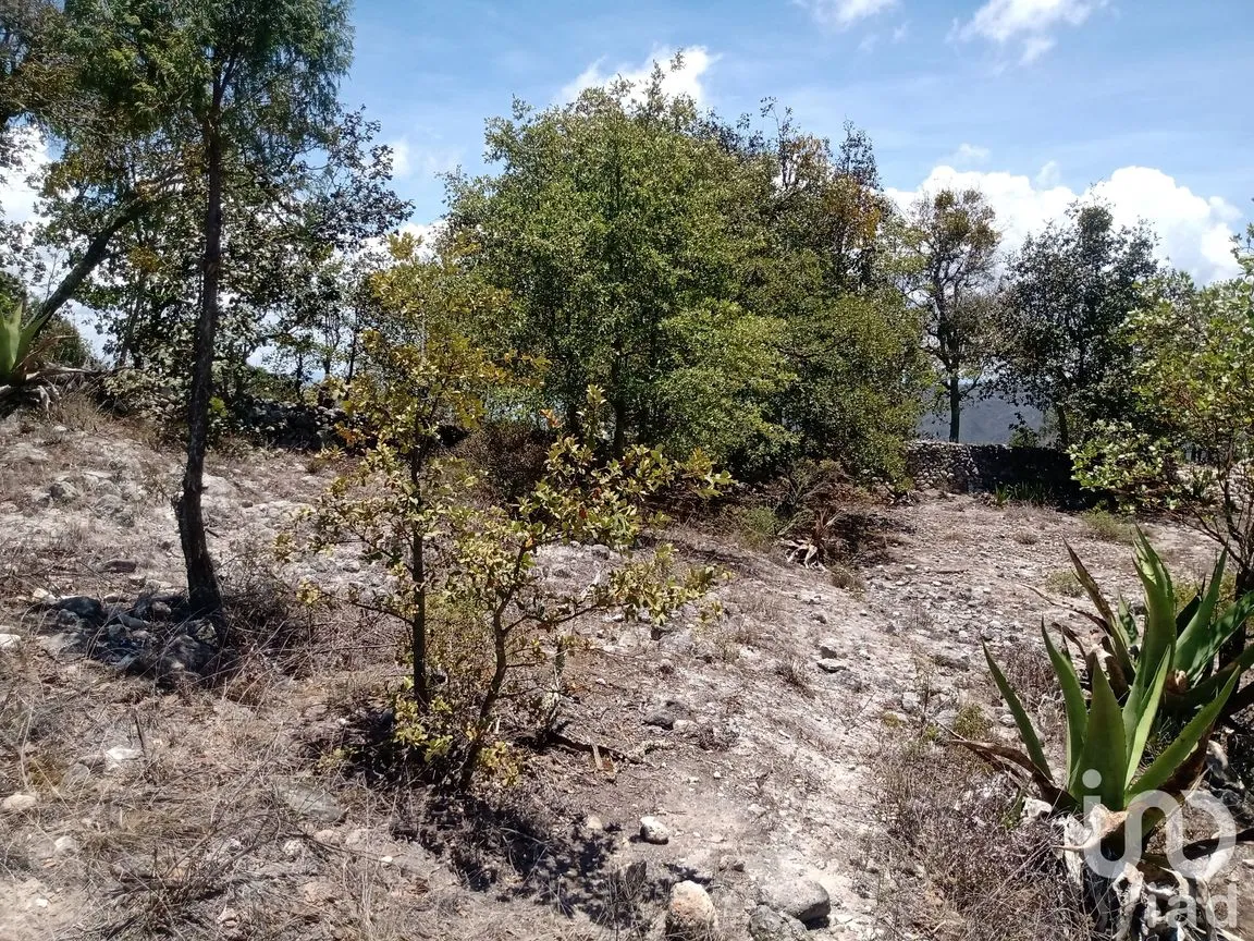 Terreno en Venta en Zoquizoquipan, Metztitlán, Hidalgo | NEX-176055 | iad México | Foto 9 de 22