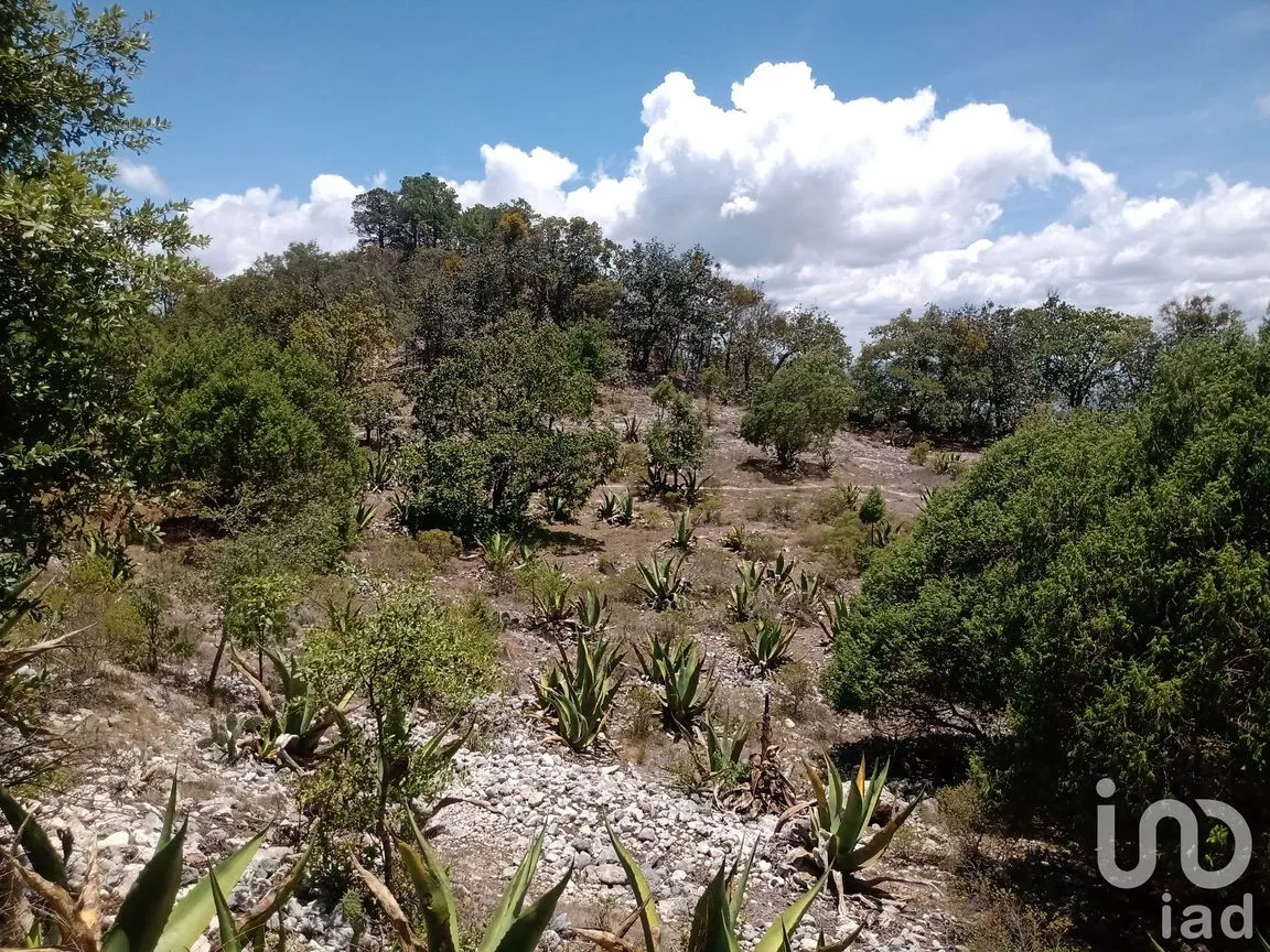 Terreno en Venta en Zoquizoquipan, Metztitlán, Hidalgo | NEX-176055 | iad México | Foto 10 de 22