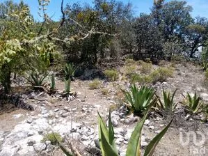 NEX-176055 - Terreno en Venta en Zoquizoquipan, CP 43361, Hidalgo.
