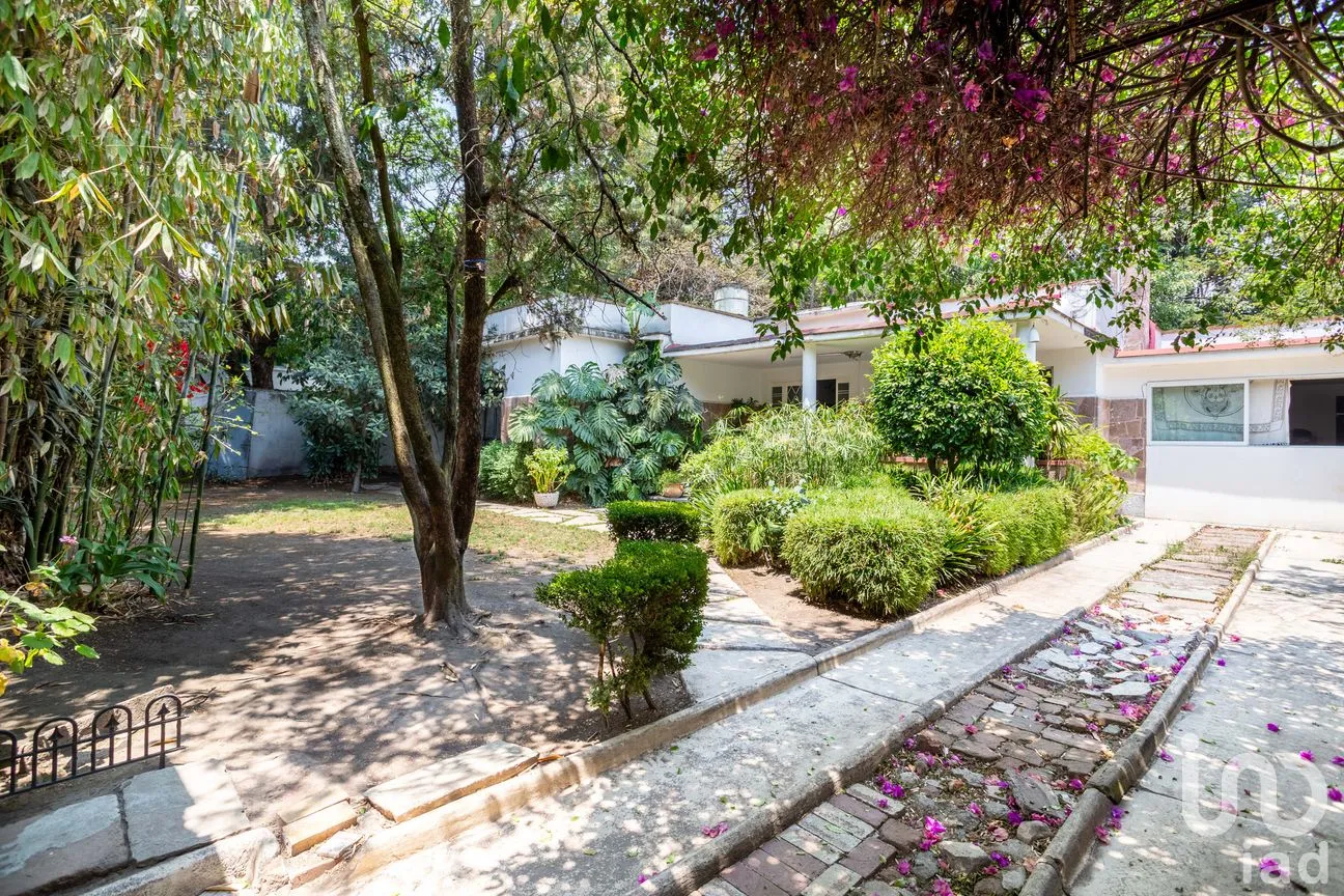 Terreno en Venta en Tlacopac, Álvaro Obregón, Ciudad de México | NEX-249124 | iad México | Foto 4 de 26