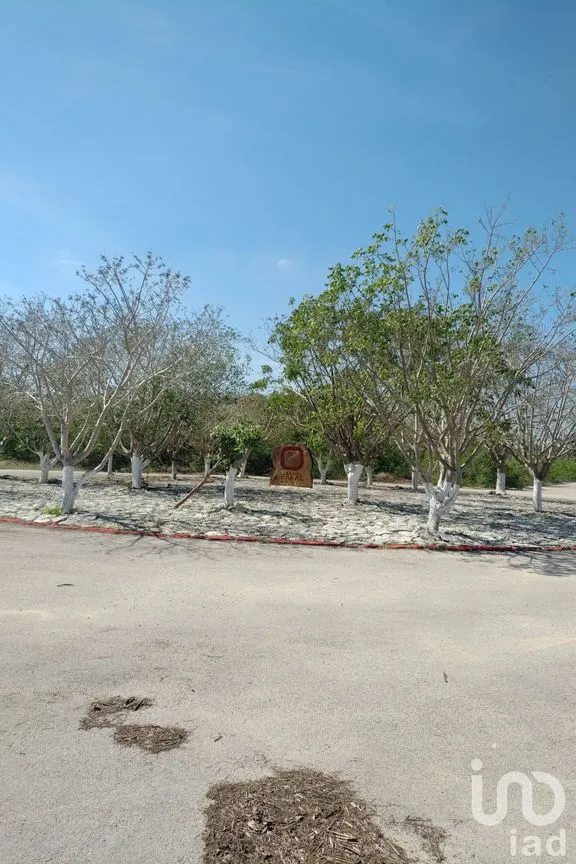 Terreno en Venta en Komchén, Mérida, Yucatán | NEX-39408 | iad México | Foto 1 de 3