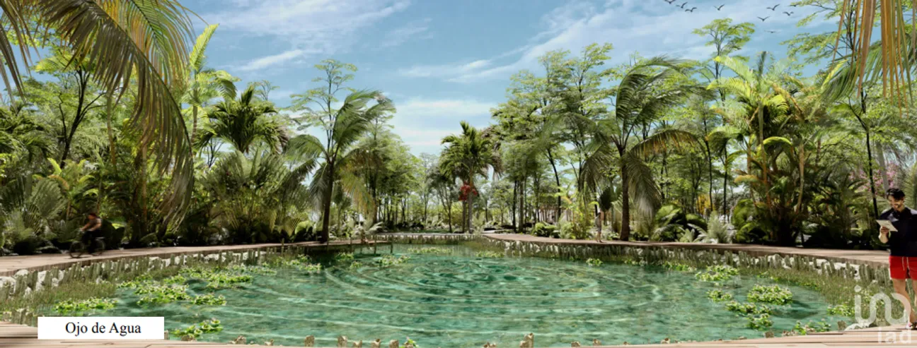 Terreno en Venta en Campestre Flamboyanes, Progreso, Yucatán | NEX-185659 | iad México | Foto 11 de 25