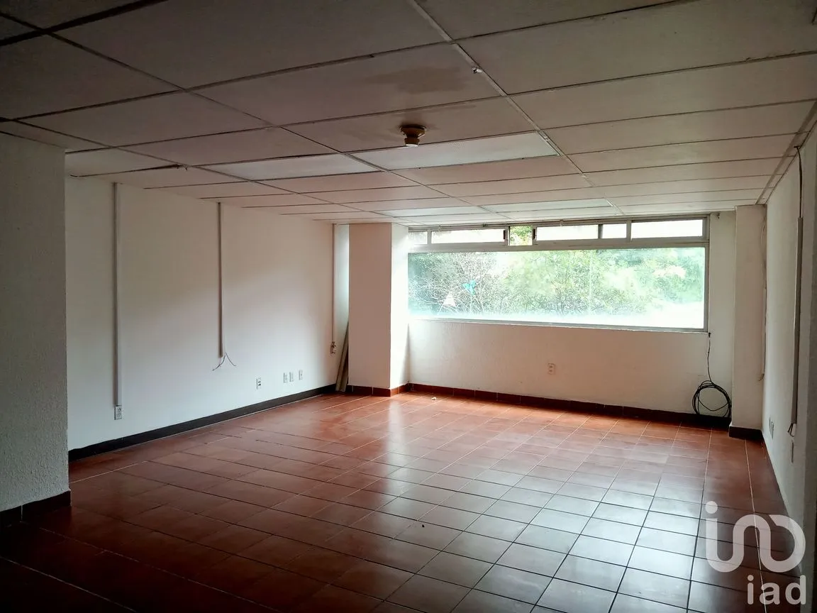 Oficina en Renta en Juárez, Cuauhtémoc, Ciudad de México | NEX-188105 | iad México | Foto 3 de 8