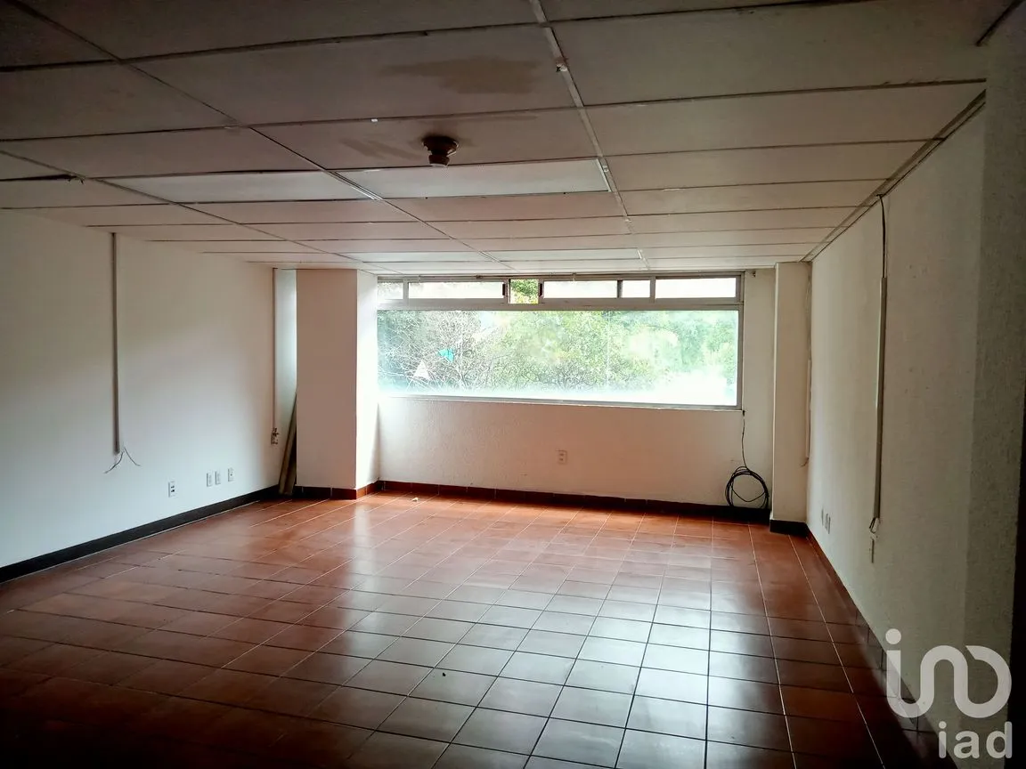 Oficina en Renta en Juárez, Cuauhtémoc, Ciudad de México | NEX-188105 | iad México | Foto 4 de 8