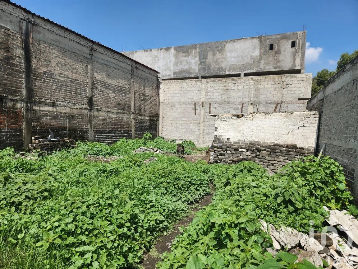 Terreno en Venta en San Miguel Xico, Valle de Chalco Solidaridad, México | NEX-219877 | iad México | Foto 13 de 19