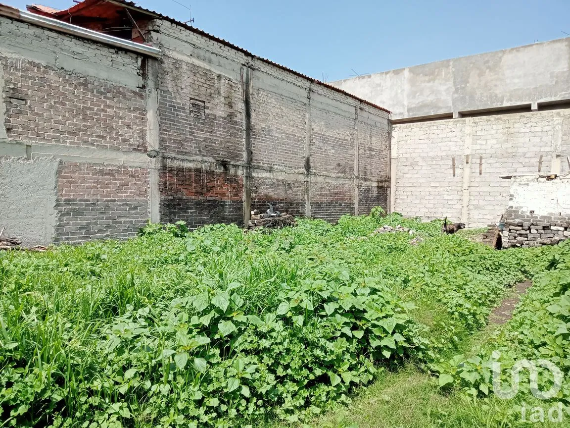 Terreno en Venta en San Miguel Xico, Valle de Chalco Solidaridad, México | NEX-219877 | iad México | Foto 6 de 19