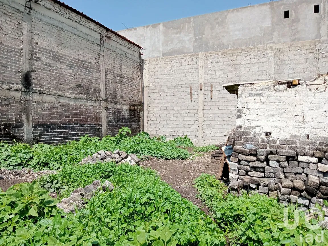 Terreno en Venta en San Miguel Xico, Valle de Chalco Solidaridad, México | NEX-219877 | iad México | Foto 7 de 19