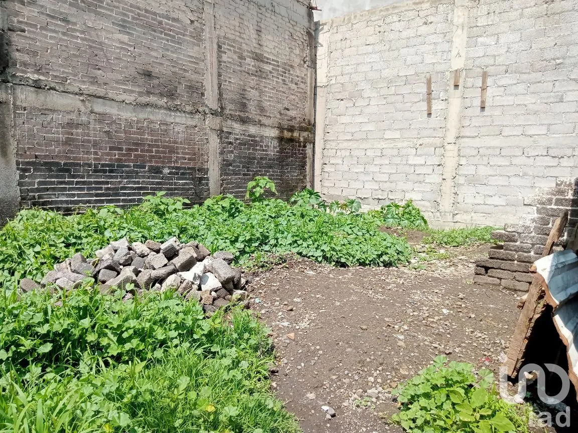 Terreno en Venta en San Miguel Xico, Valle de Chalco Solidaridad, México | NEX-219877 | iad México | Foto 8 de 19