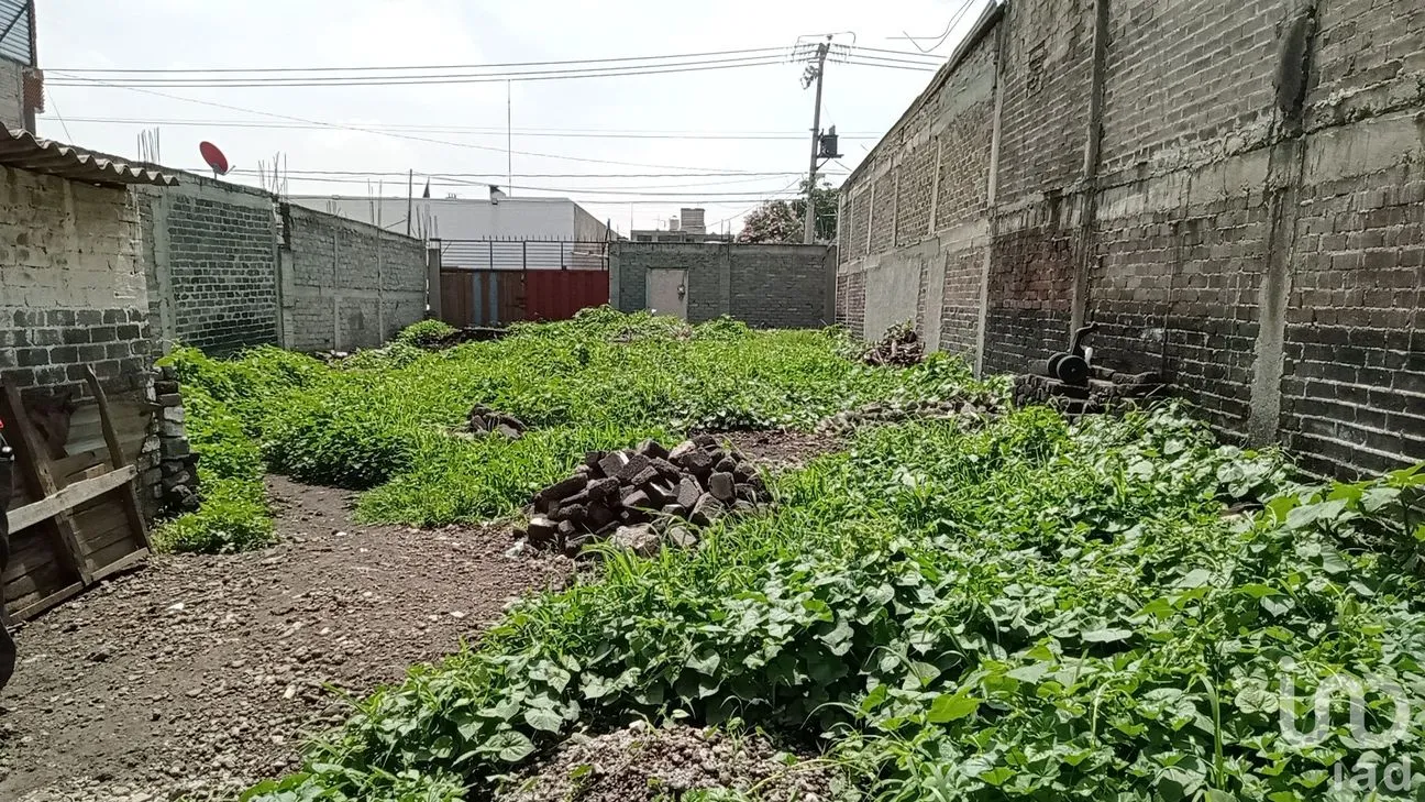 Terreno en Venta en San Miguel Xico, Valle de Chalco Solidaridad, México | NEX-219877 | iad México | Foto 10 de 19