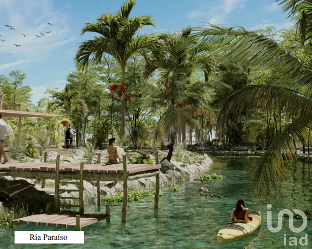Terreno en Venta en Campestre Flamboyanes, Progreso, Yucatán | NEX-91238 | iad México | Foto 14 de 16