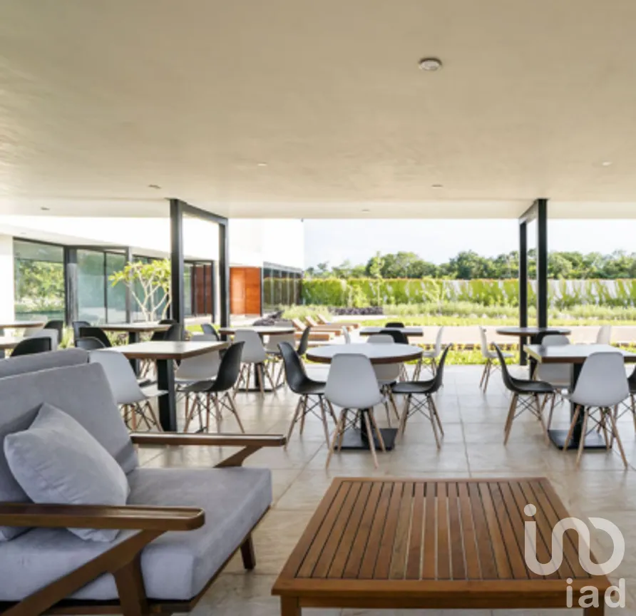 Terreno en Venta en Campestre Flamboyanes, Progreso, Yucatán | NEX-91238 | iad México | Foto 9 de 16