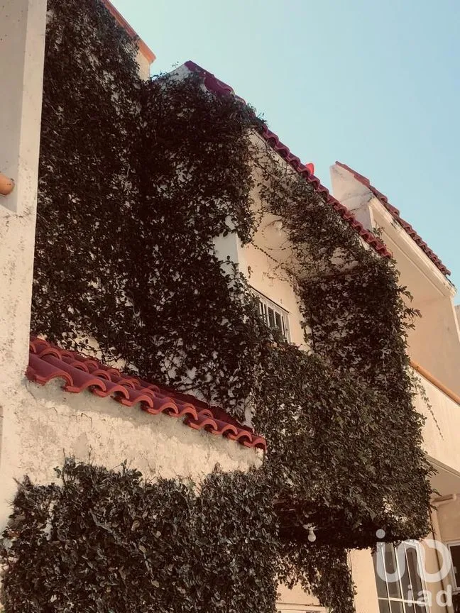 Casa en Venta en San Agustin, Acapulco de Juárez, Guerrero | NEX-147493 | iad México | Foto 4 de 21