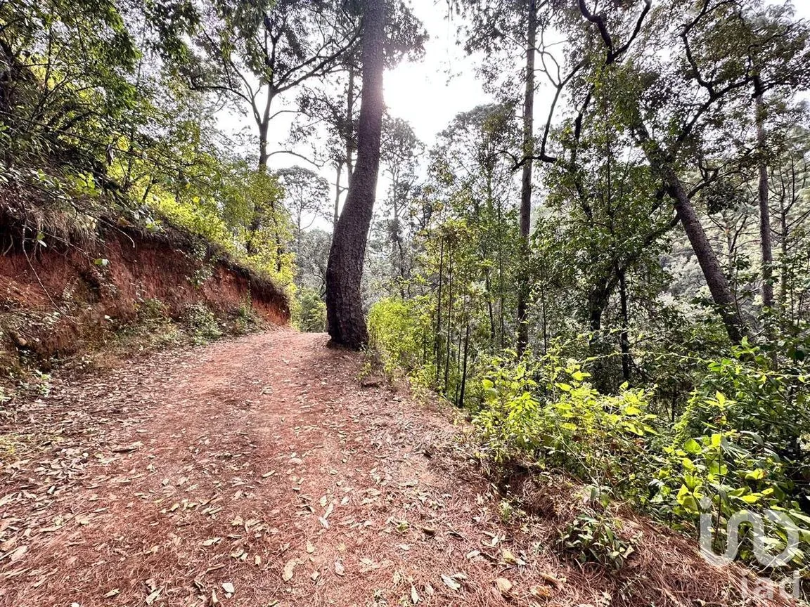 Terreno en Venta en Avándaro, Valle de Bravo, México | NEX-258220 | iad México | Foto 2 de 6