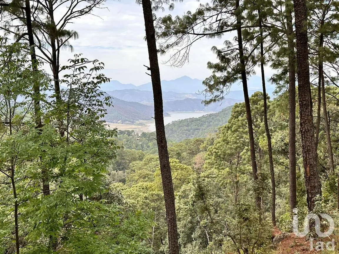 Terreno en Venta en Avándaro, Valle de Bravo, México | NEX-258220 | iad México | Foto 3 de 6