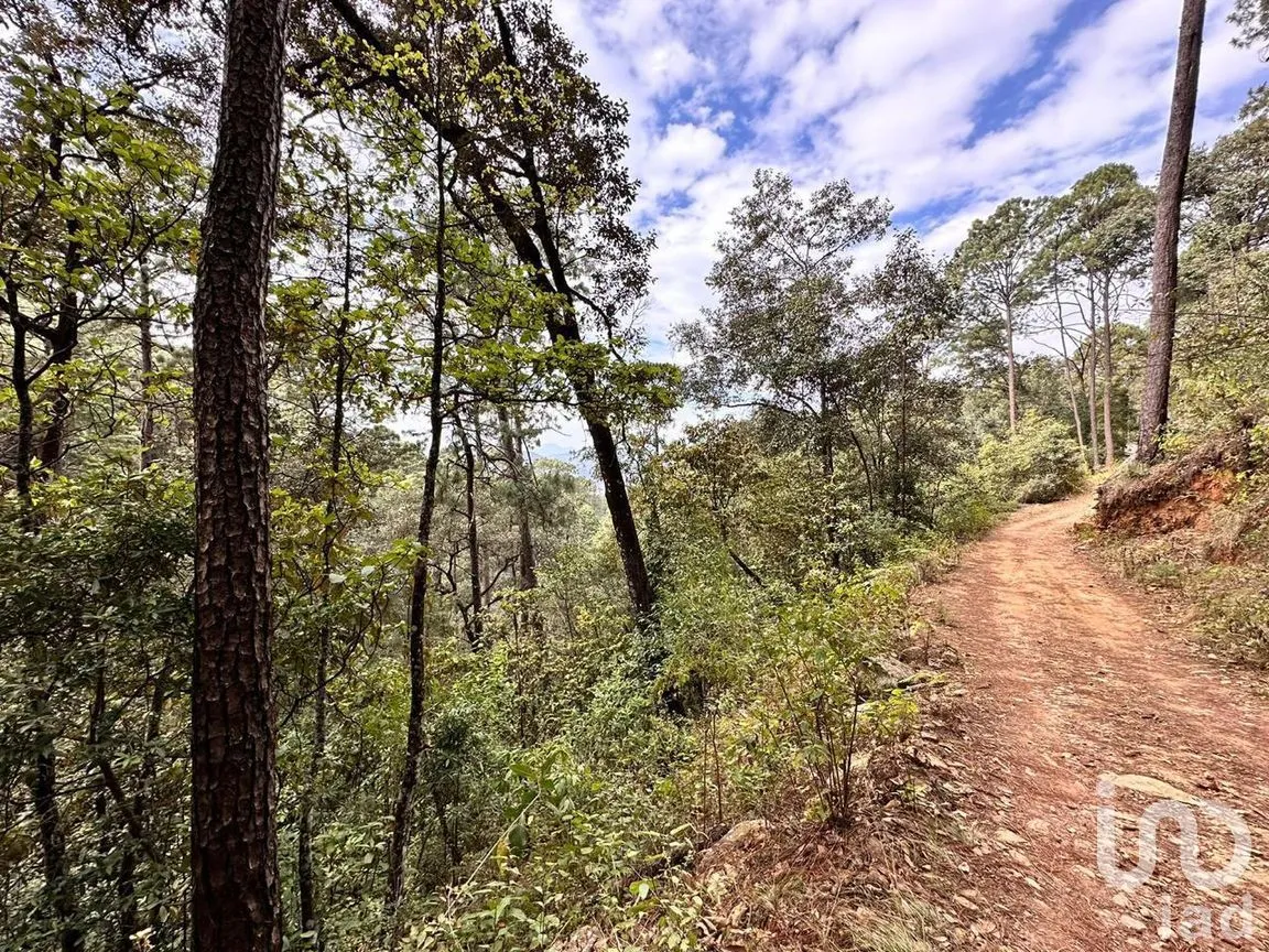 Terreno en Venta en Avándaro, Valle de Bravo, México | NEX-258220 | iad México | Foto 4 de 6