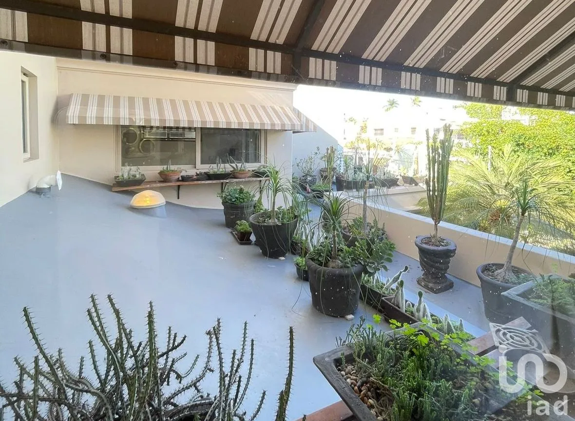 Casa en Renta en Las Gaviotas, Mazatlán, Sinaloa | NEX-285758 | iad México | Foto 20 de 35