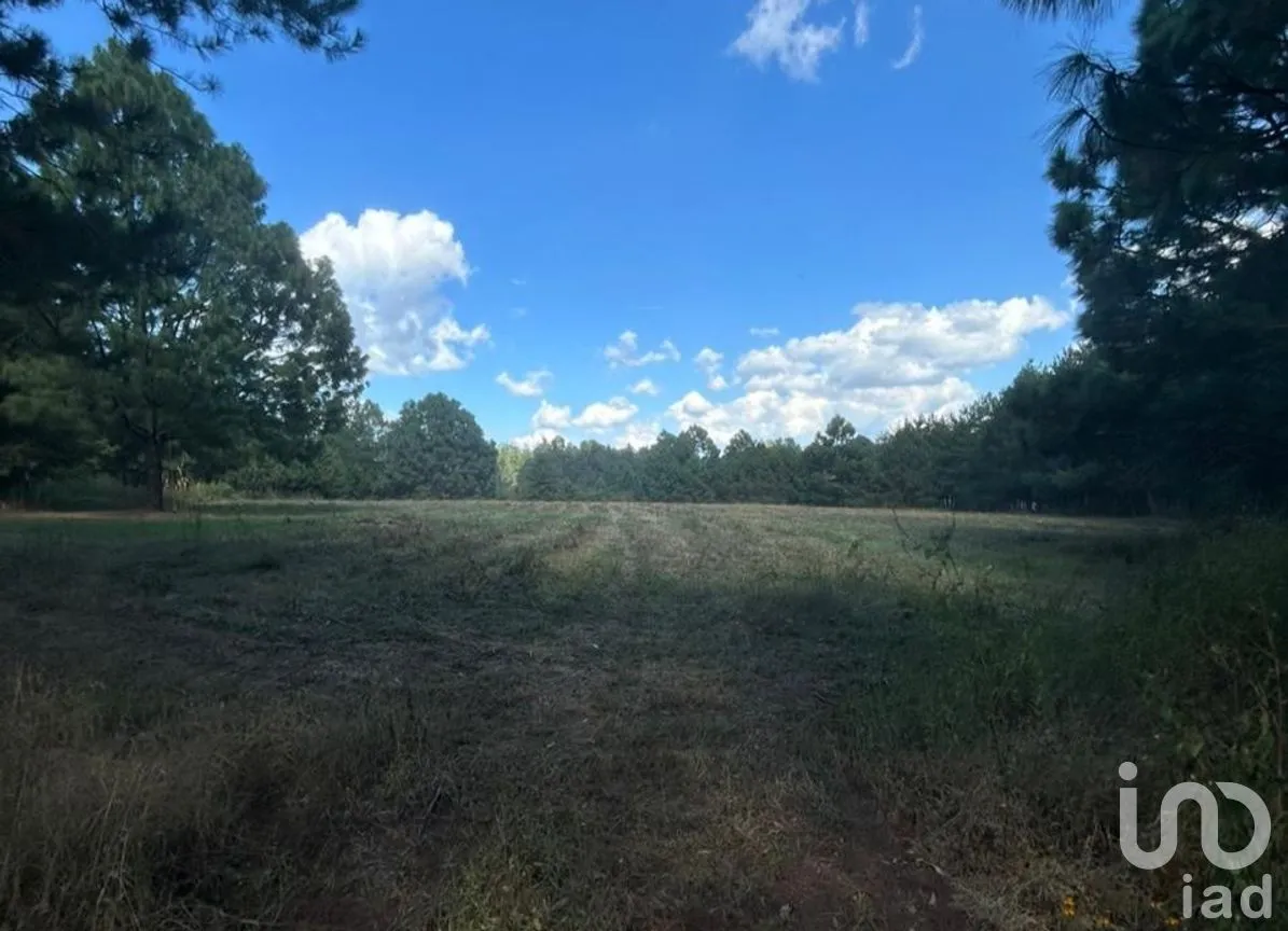 Terreno en Venta en Yerbabuena, Tapalpa, Jalisco | NEX-285924 | iad México | Foto 12 de 12