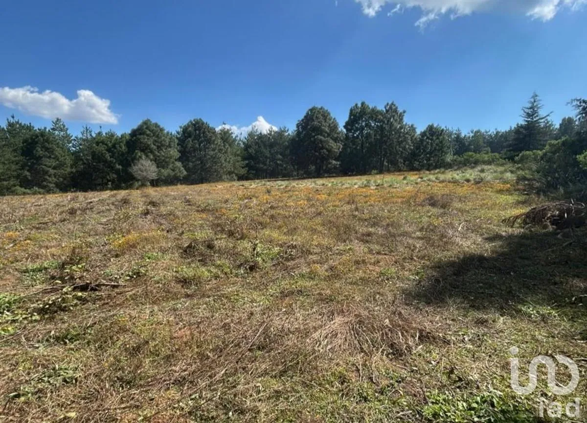 Terreno en Venta en Yerbabuena, Tapalpa, Jalisco | NEX-285924 | iad México | Foto 6 de 12
