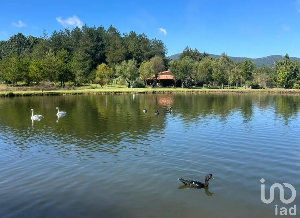 Terreno en Venta en Yerbabuena, Tapalpa, Jalisco | NEX-285924 | iad México | Foto 1 de 12