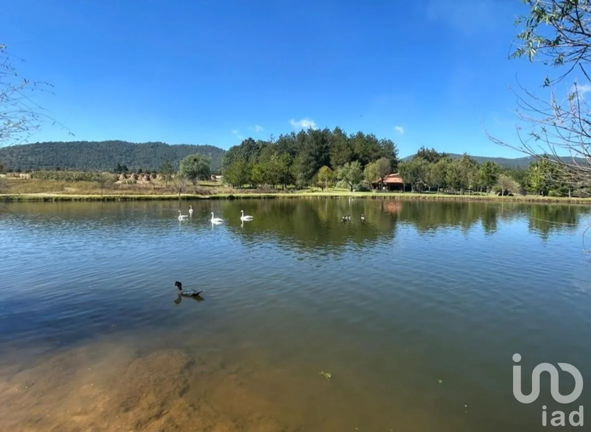 Terreno en Venta en Yerbabuena, Tapalpa, Jalisco | NEX-285925 | iad México | Foto 6 de 12