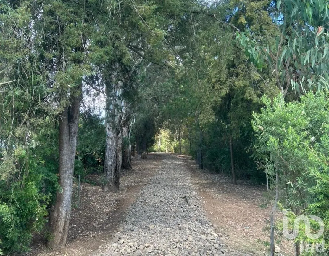 Terreno en Venta en Yerbabuena, Tapalpa, Jalisco | NEX-285925 | iad México | Foto 10 de 12