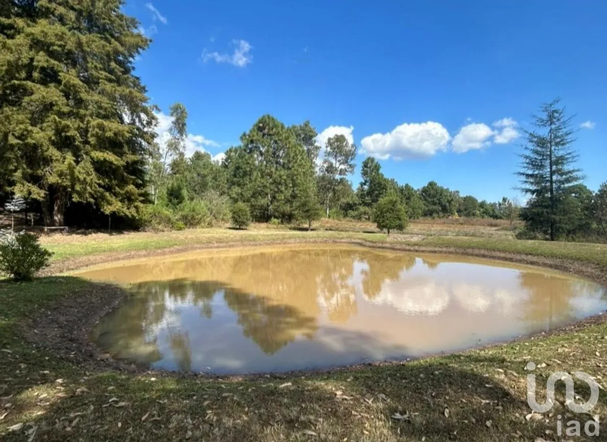 Terreno en Venta en Yerbabuena, Tapalpa, Jalisco | NEX-285926 | iad México | Foto 1 de 12