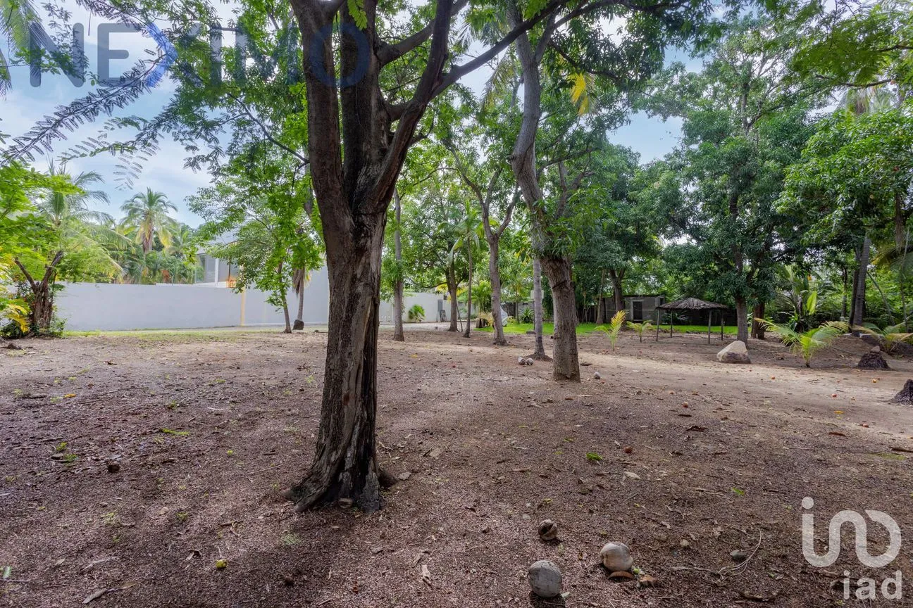 Terreno en Venta en Acapulco de Juárez Centro, Acapulco de Juárez, Guerrero | NEX-47511 | iad México | Foto 16 de 20