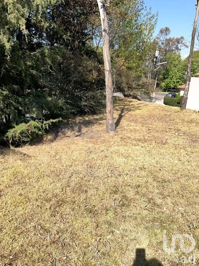 Terreno en Venta en Lomas de Vista Hermosa, Cuajimalpa de Morelos, Ciudad de México | NEX-151846 | iad México | Foto 2 de 19