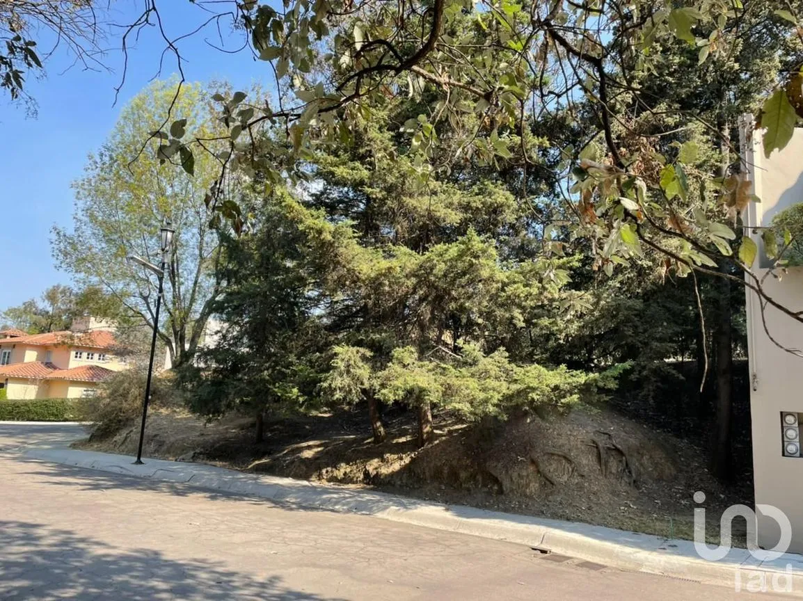 Terreno en Venta en Lomas de Vista Hermosa, Cuajimalpa de Morelos, Ciudad de México | NEX-151846 | iad México | Foto 11 de 19