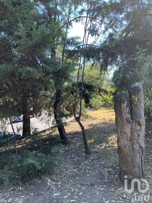 Terreno en Venta en Lomas de Vista Hermosa, Cuajimalpa de Morelos, Ciudad de México | NEX-151846 | iad México | Foto 3 de 19