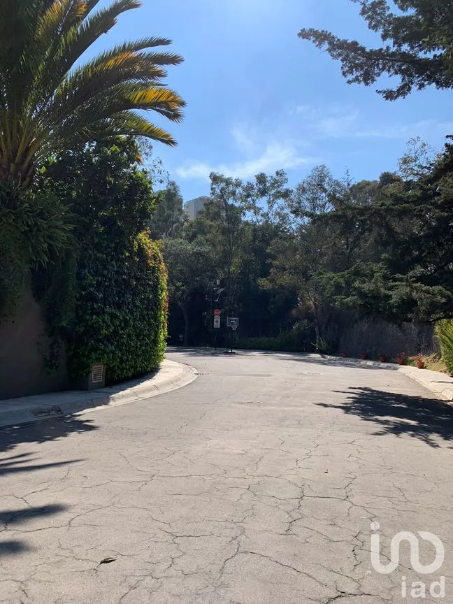 Terreno en Venta en Lomas de Vista Hermosa, Cuajimalpa de Morelos, Ciudad de México | NEX-151846 | iad México | Foto 4 de 19