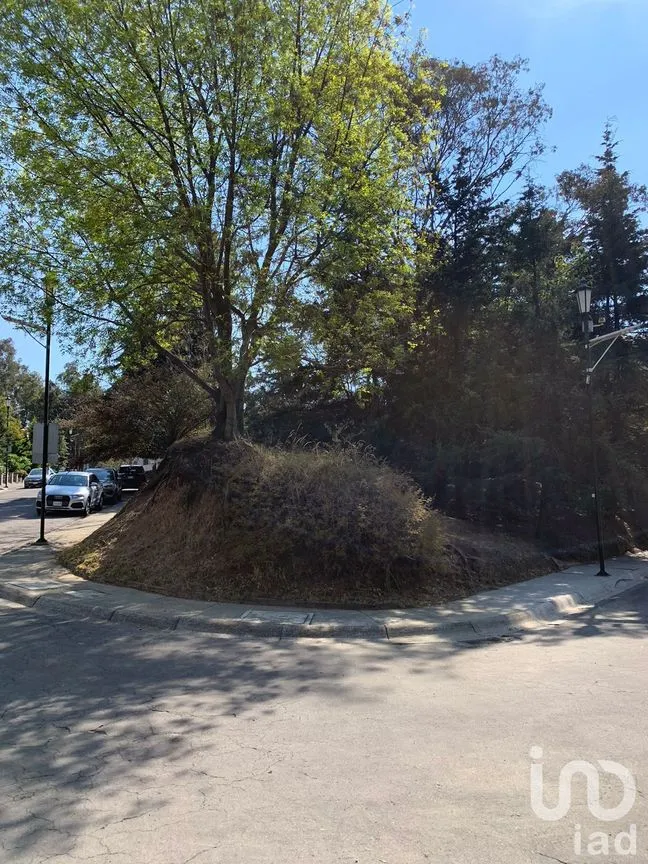 Terreno en Venta en Lomas de Vista Hermosa, Cuajimalpa de Morelos, Ciudad de México | NEX-151846 | iad México | Foto 5 de 19