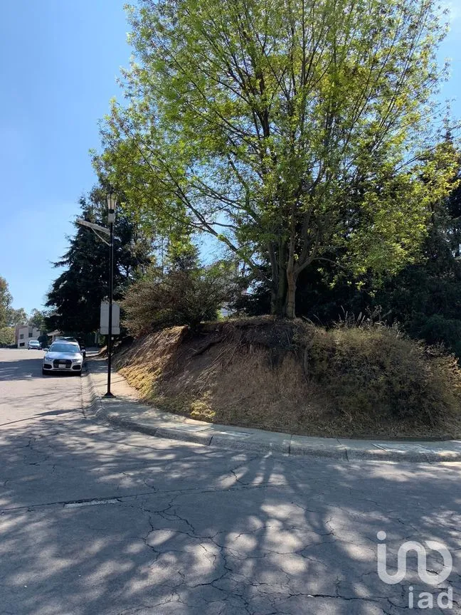 Terreno en Venta en Lomas de Vista Hermosa, Cuajimalpa de Morelos, Ciudad de México | NEX-151846 | iad México | Foto 6 de 19