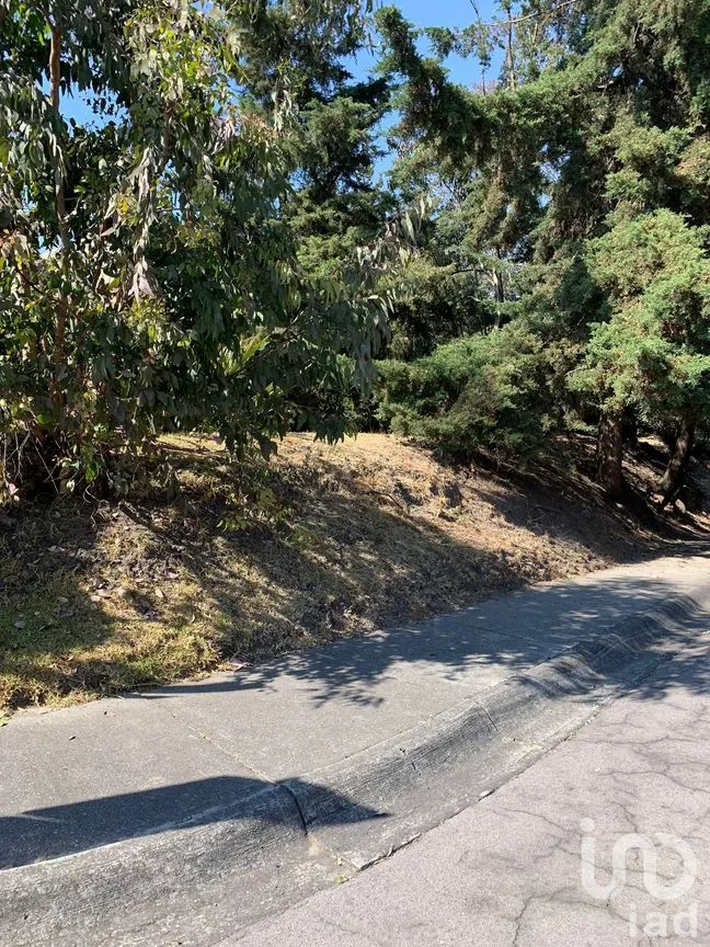 Terreno en Venta en Lomas de Vista Hermosa, Cuajimalpa de Morelos, Ciudad de México | NEX-151846 | iad México | Foto 8 de 19