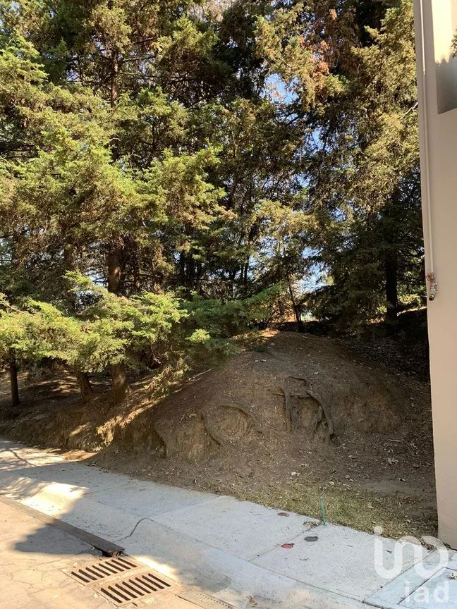 Terreno en Venta en Lomas de Vista Hermosa, Cuajimalpa de Morelos, Ciudad de México | NEX-151846 | iad México | Foto 9 de 19