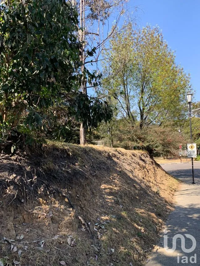 Terreno en Venta en Lomas de Vista Hermosa, Cuajimalpa de Morelos, Ciudad de México | NEX-151846 | iad México | Foto 10 de 19