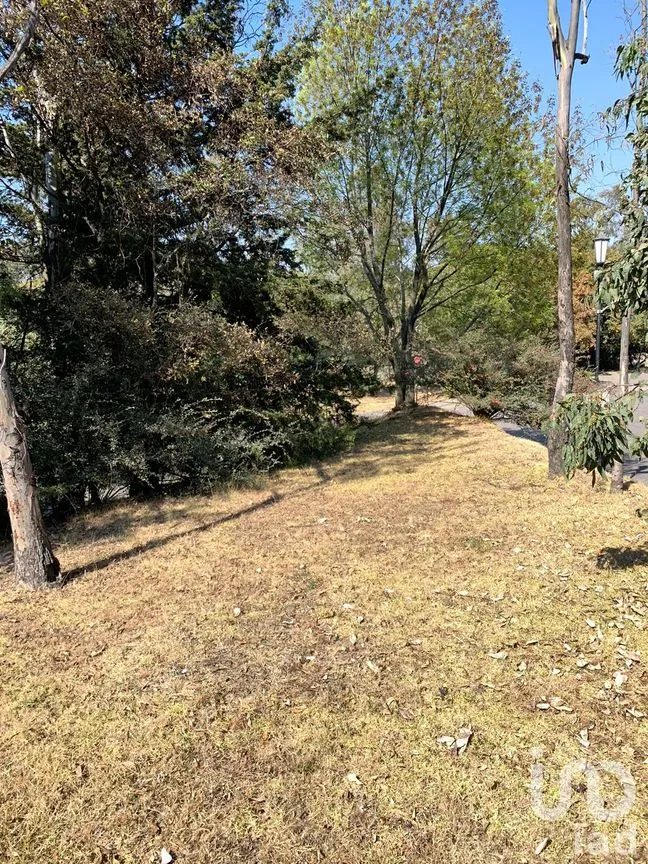 Terreno en Venta en Lomas de Vista Hermosa, Cuajimalpa de Morelos, Ciudad de México | NEX-151846 | iad México | Foto 1 de 19