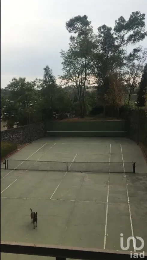 Casa en Venta en Bosque de las Lomas, Miguel Hidalgo, Ciudad de México | NEX-152571 | iad México | Foto 8 de 9