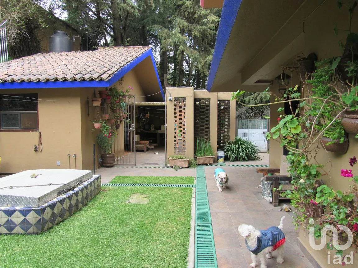 Departamento en Venta en San Lorenzo Acopilco, Cuajimalpa de Morelos, Ciudad de México | NEX-195031 | iad México | Foto 23 de 31