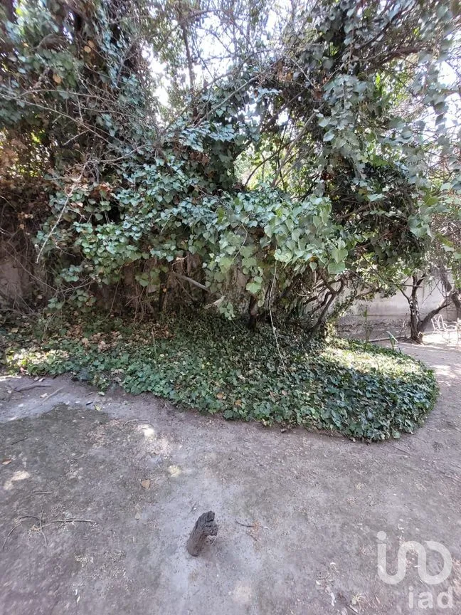 Terreno en Venta en Lomas de Tecamachalco Sección Bosques I y II, Huixquilucan, México | NEX-198861 | iad México | Foto 15 de 55