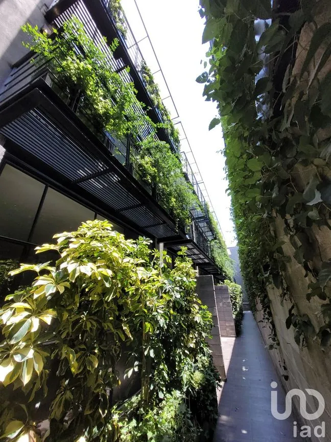 Casa en Venta en Mixcoac, Benito Juárez, Ciudad de México | NEX-219709 | iad México | Foto 26 de 33