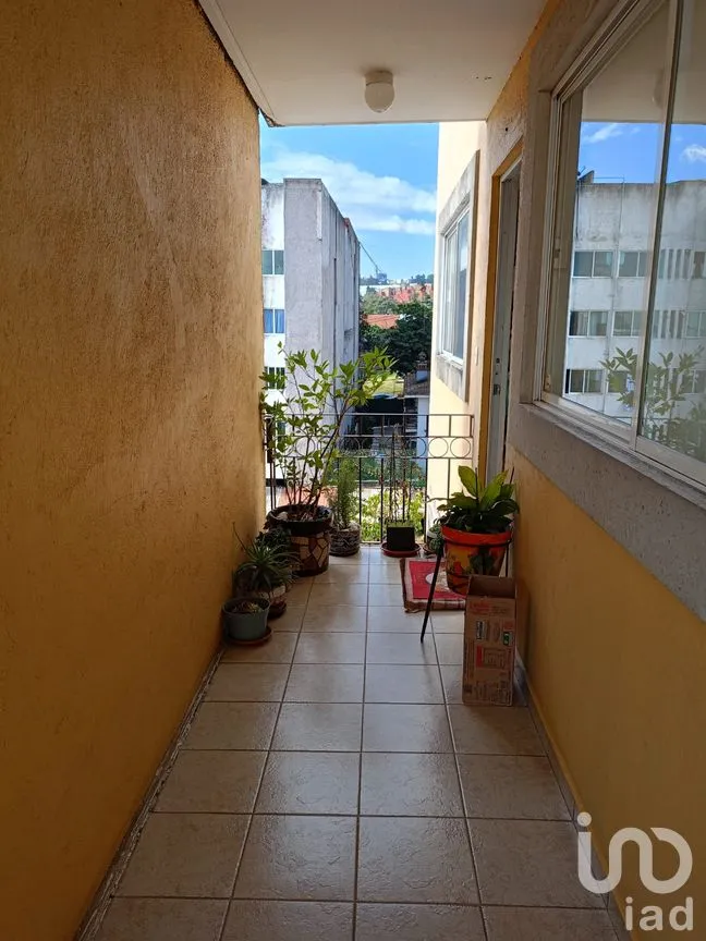 Departamento en Venta en Lomas de Memetla, Cuajimalpa de Morelos, Ciudad de México | NEX-242542 | iad México | Foto 12 de 23