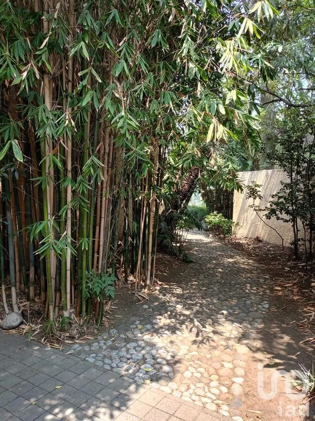 Casa en Venta en La Joya, Tlalpan, Ciudad de México | NEX-250279 | iad México | Foto 64 de 67