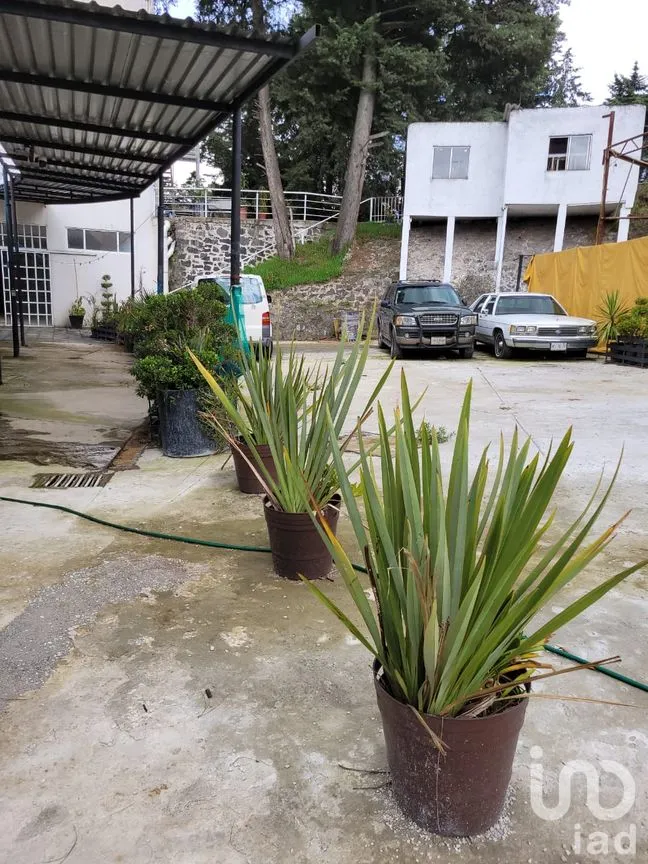 Local en Renta en Cuajimalpa, Cuajimalpa de Morelos, Ciudad de México | NEX-254204 | iad México | Foto 1 de 16