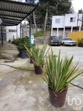 NEX-254204 - Local en Renta, con 1 baño, con 236 m2 de construcción en Cuajimalpa, CP 05000, Ciudad de México.