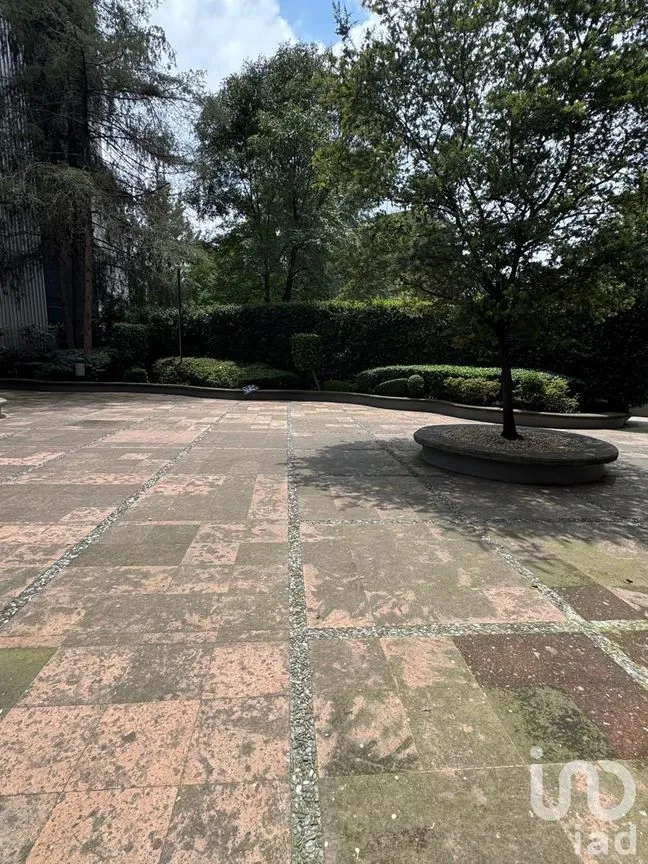 Departamento en Venta en Bosques de las Lomas, Cuajimalpa de Morelos, Ciudad de México | NEX-256064 | iad México | Foto 21 de 26