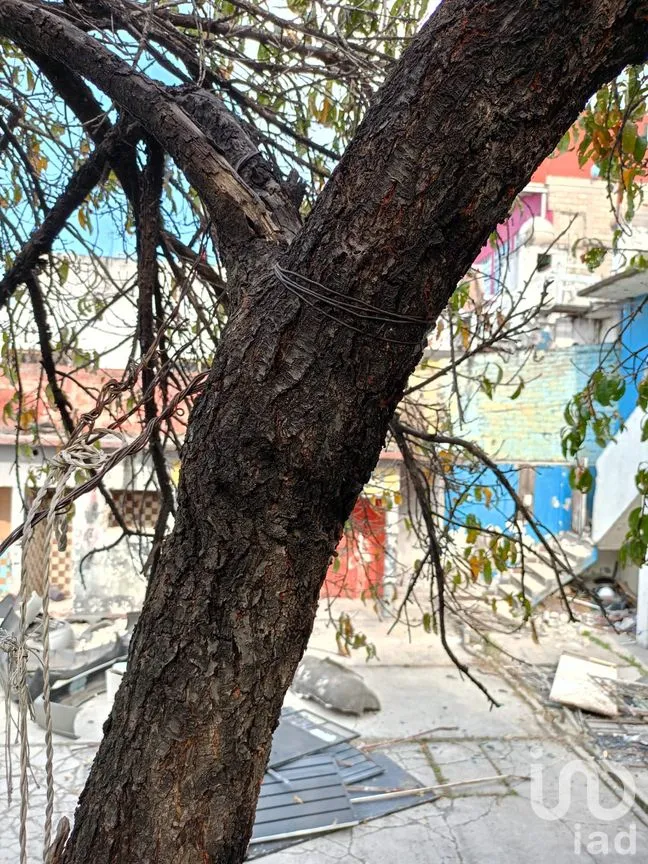 Terreno en Venta en Hidalgo, Naucalpan de Juárez, México | NEX-264008 | iad México | Foto 6 de 13
