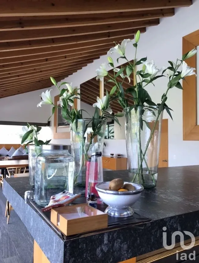 Casa en Venta en Agua Fría, Valle de Bravo, México | NEX-285665 | iad México | Foto 7 de 35