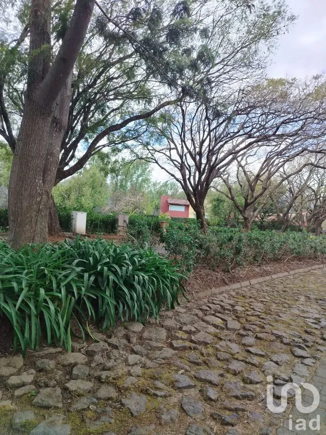 Terreno en Venta en San Sebastián, Malinalco, México | NEX-286110 | iad México | Foto 14 de 53